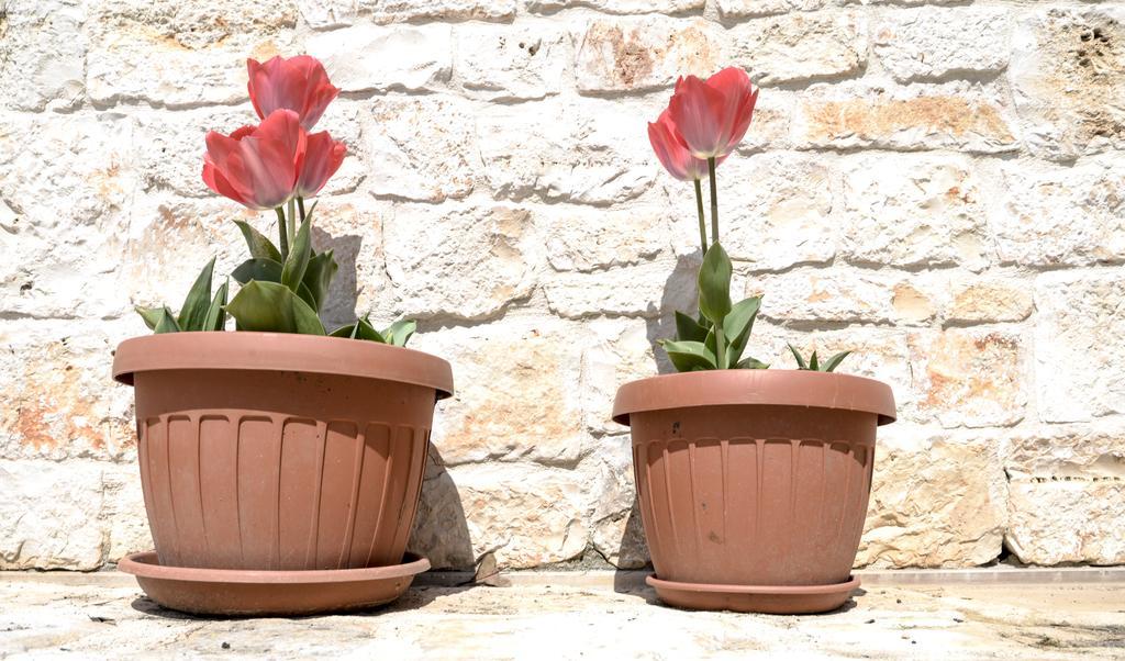 Masseria Gravelle Turi Dış mekan fotoğraf