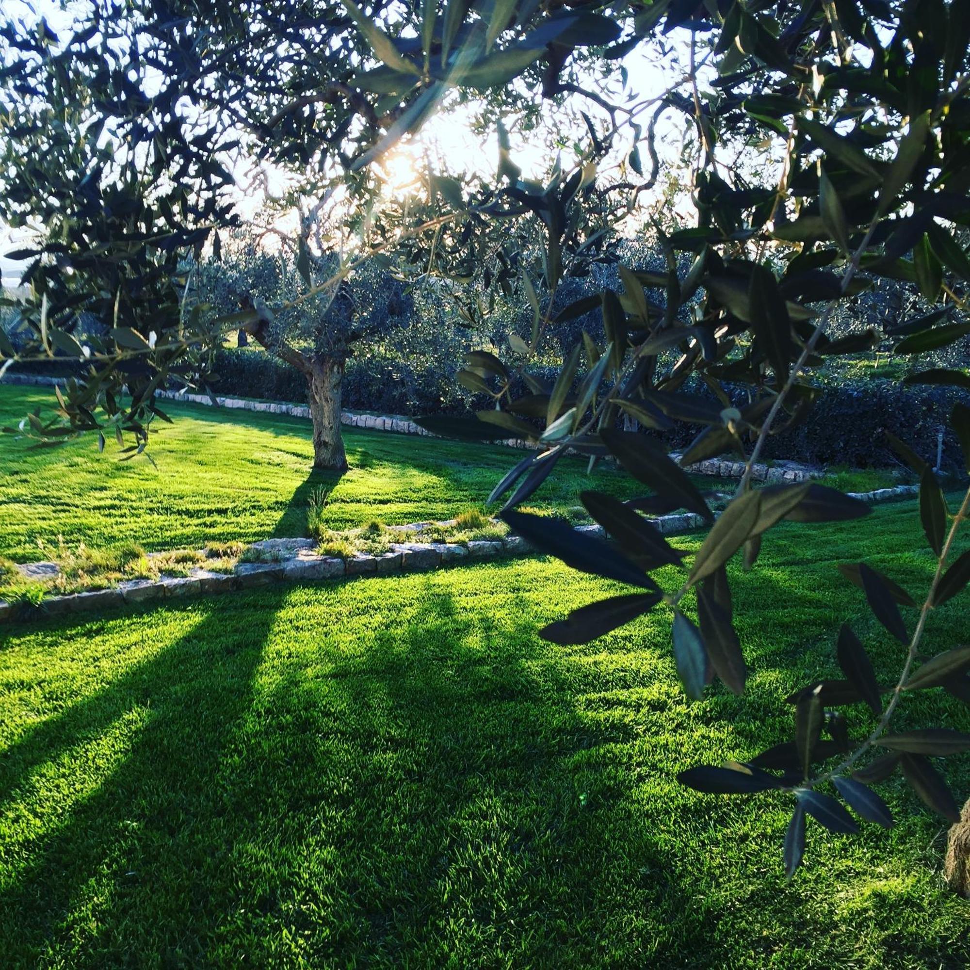 Masseria Gravelle Turi Dış mekan fotoğraf