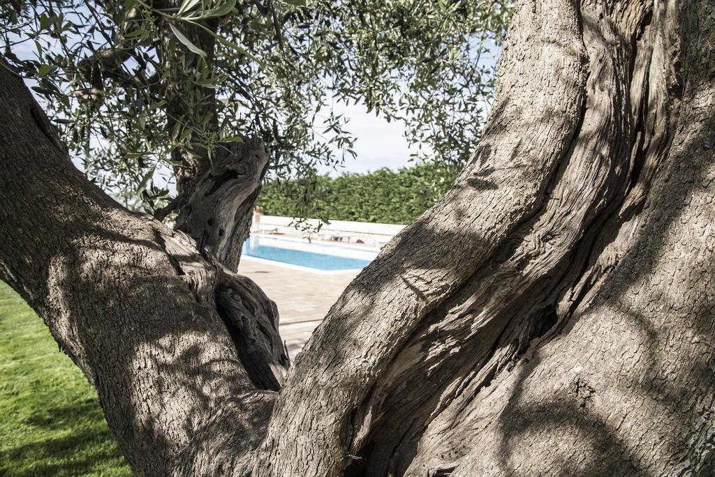 Masseria Gravelle Turi Dış mekan fotoğraf
